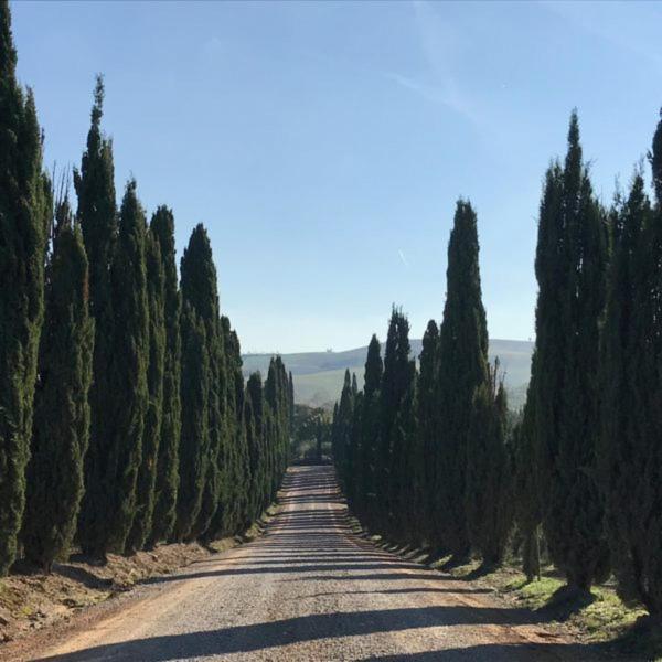Podere Piazza Siena Exterior foto